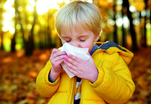 Little boy sneezing and wipes nose with napkin during walking in autumn park. Flu season and cold rhinitis. Allergic kid. Sick kids.